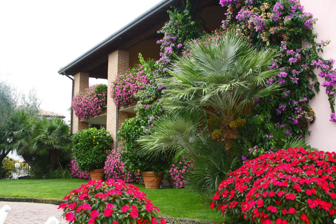 Giardino Hotel Olimpia