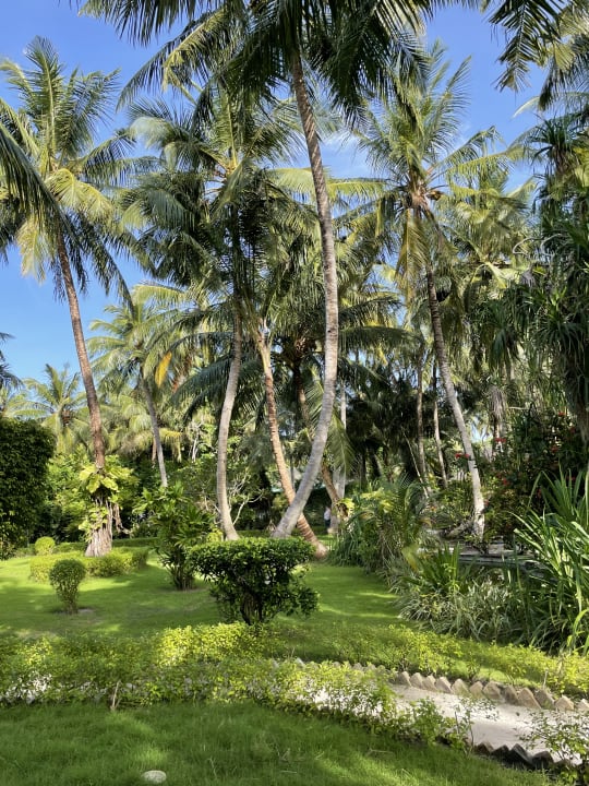 Gartenanlage Adaaran Select Meedhupparu Island Resort - Premium All Inclusive