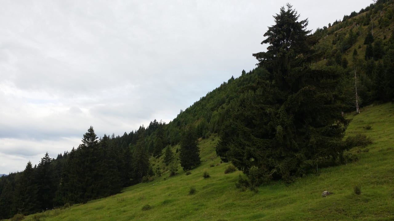 Seitlich vom Hotel Oberjoch - Familux Resort