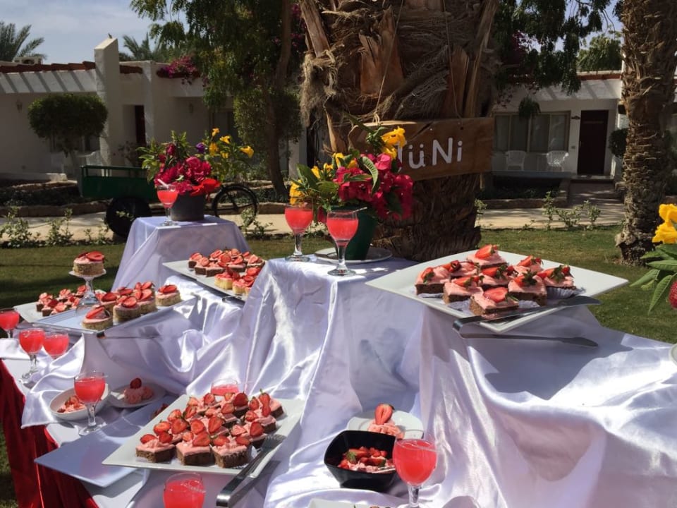 Gastro Menaville Safaga