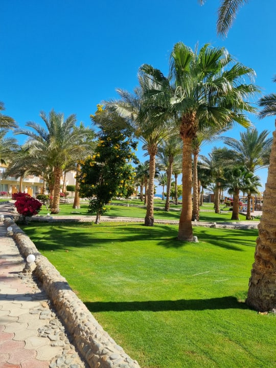 Gartenanlage Three Corners Sea Beach Resort