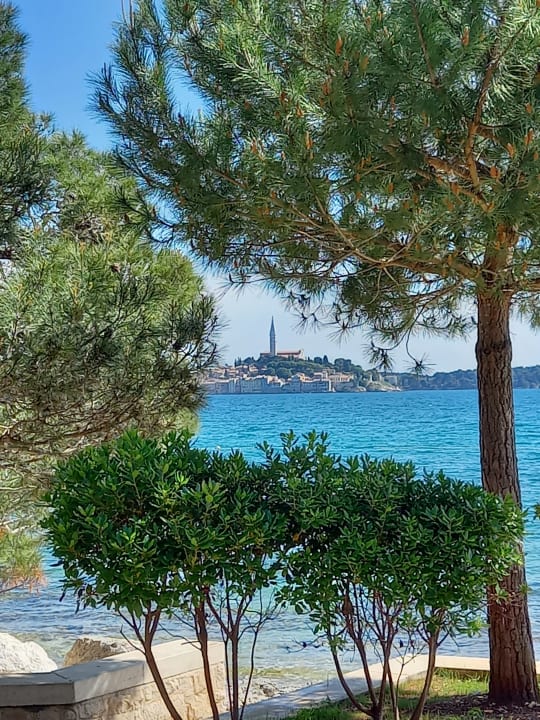 Strand Apartments Ava