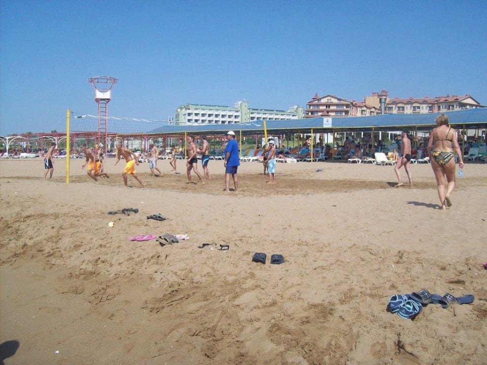 Volleyball und Strandvergnügen Hotel Orfeus Park