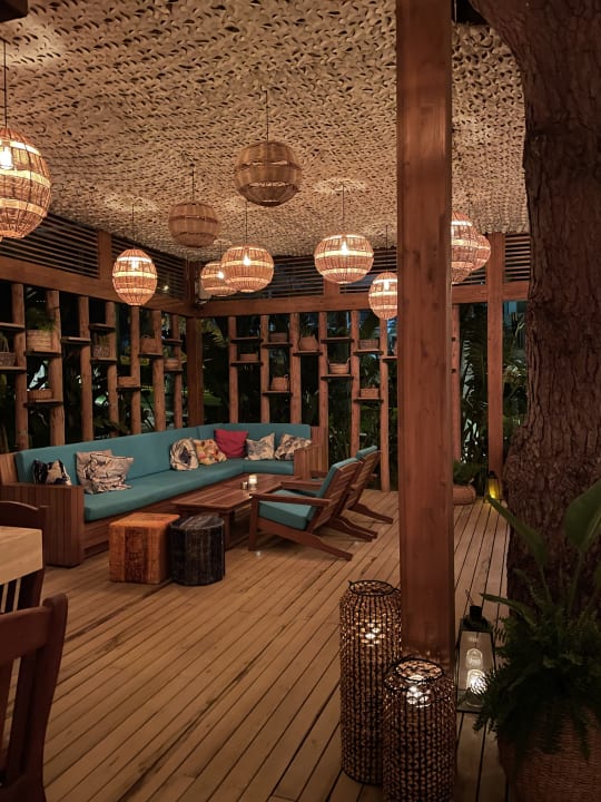 Sonstiges Arum Barut Collection