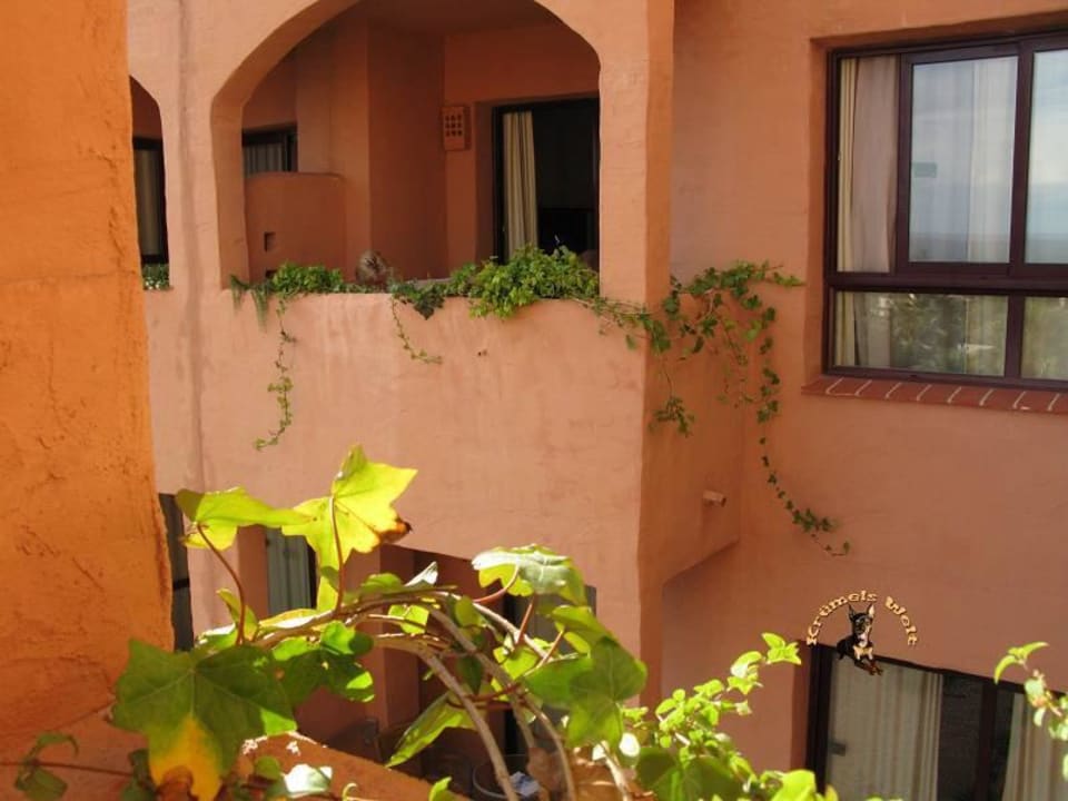 Ausblick Bakour Oh Nice Costa del Sol