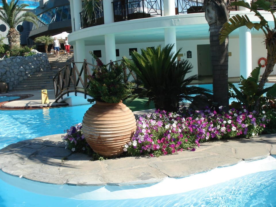 Schön bepflanzte Poolanlage Hotel Calypso Beach
