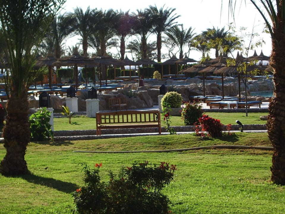 Schöner großer Garten Beach Albatros Resort