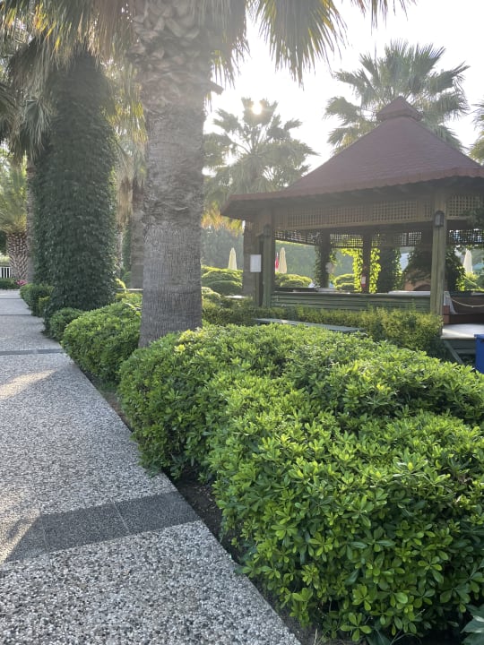 Gastro Paloma Oceana