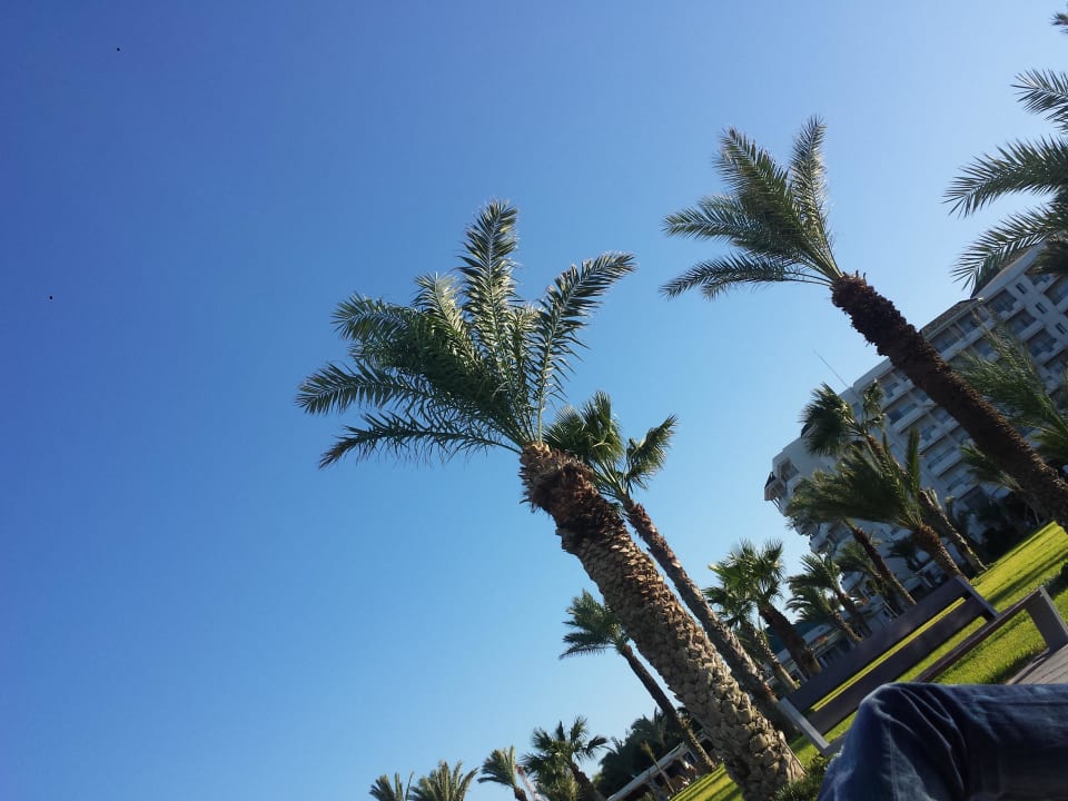 Richtig schön gepflegte anlage Iberostar Selection Royal El Mansour