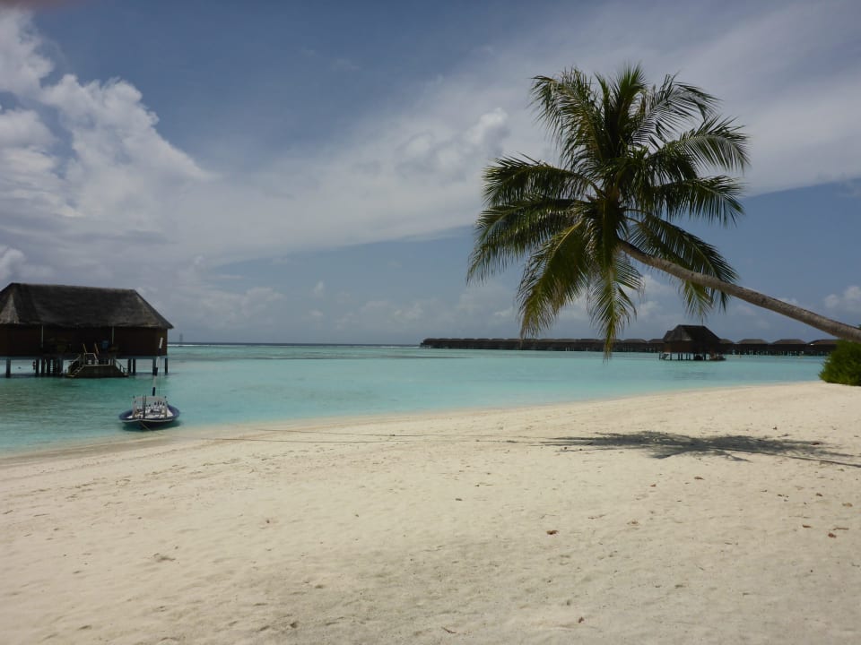 Honeymoonvillen Meeru Maldives Resort Island