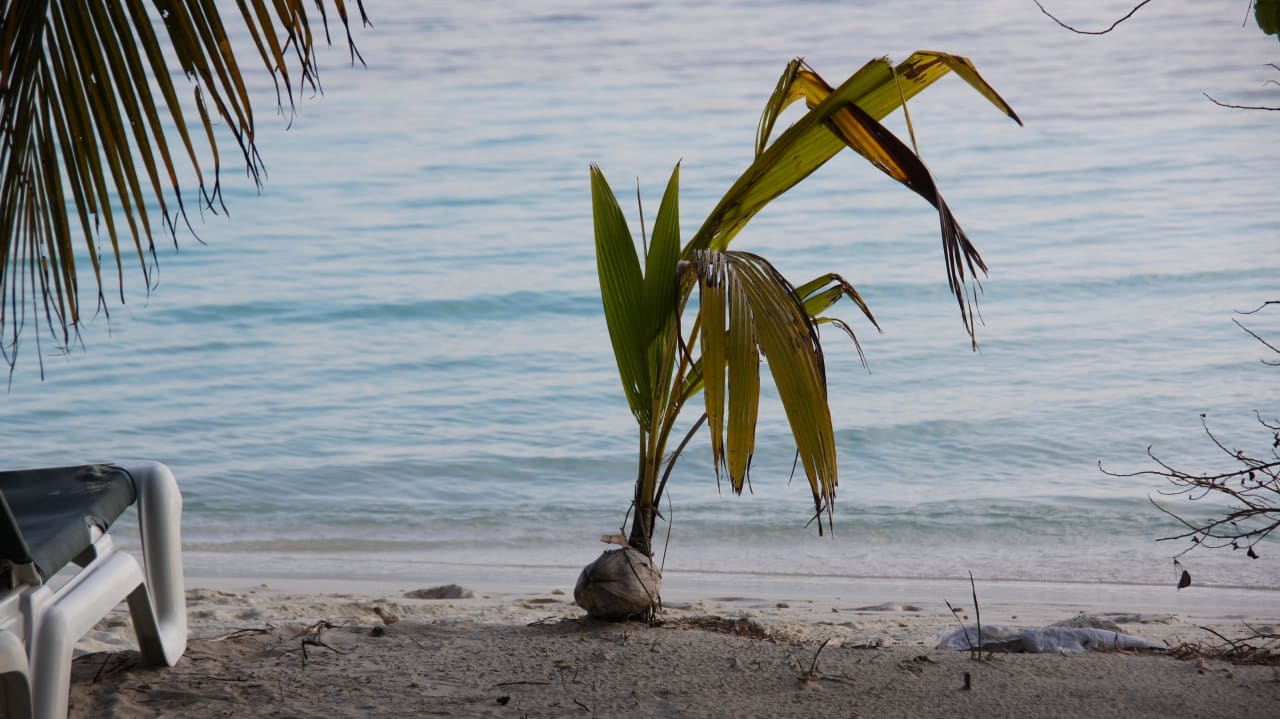Vilamendhoo Vilamendhoo Island Resort & Spa