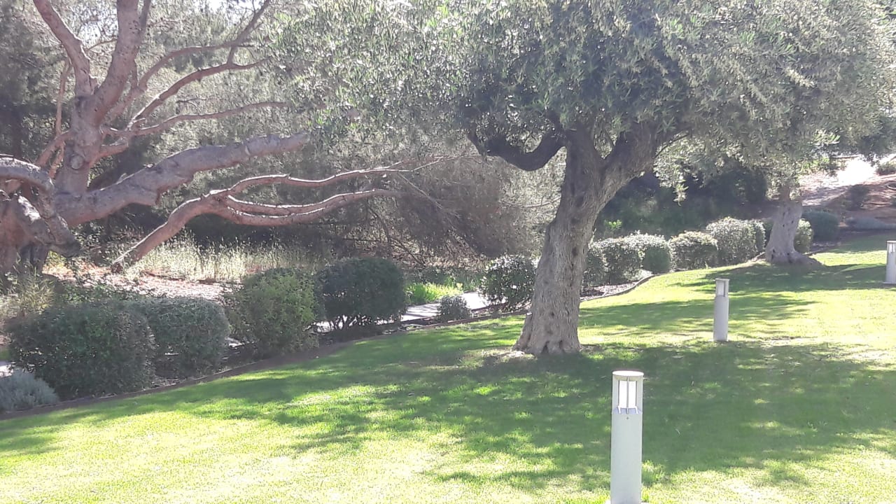 Gartenanlage Hipotels Bahía Cala Millor