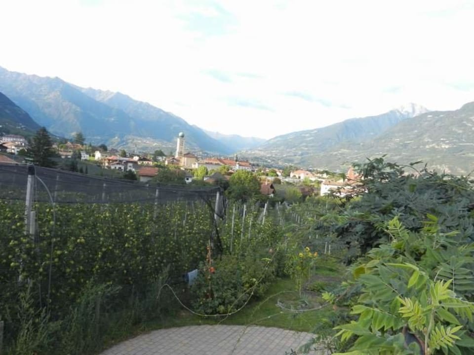 Ausblick vom Garten Richtung Lana Pschoalhof