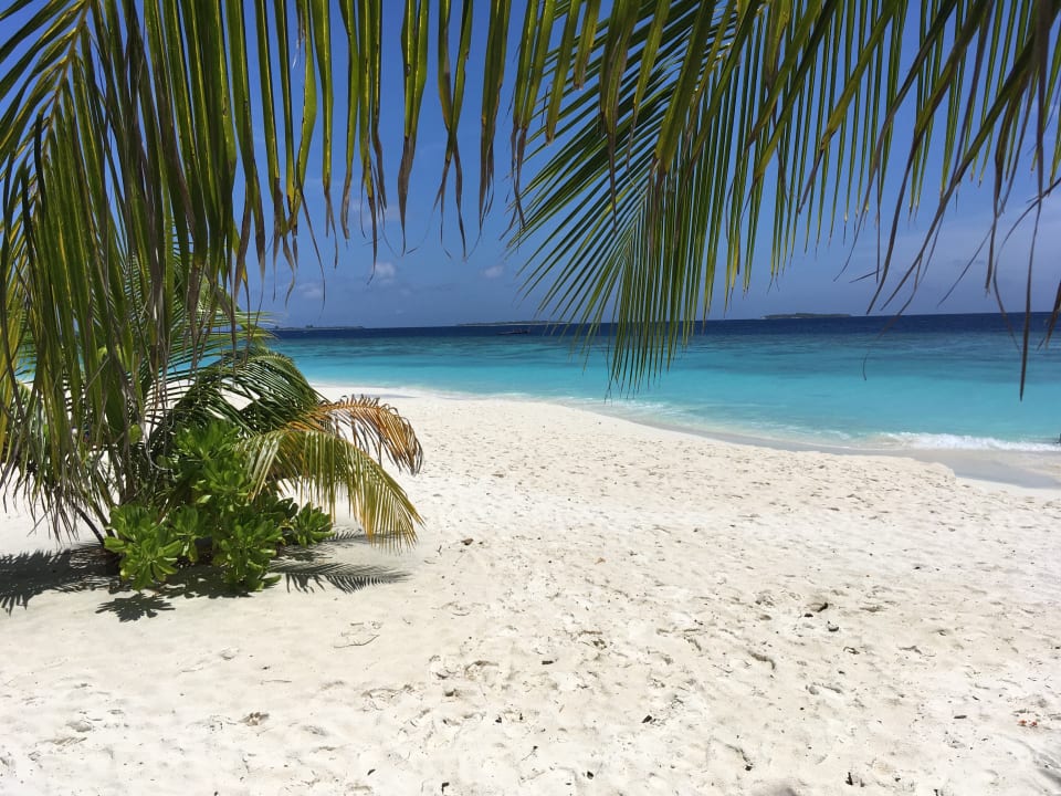 Strand Adaaran Select Meedhupparu Island Resort - Premium All Inclusive