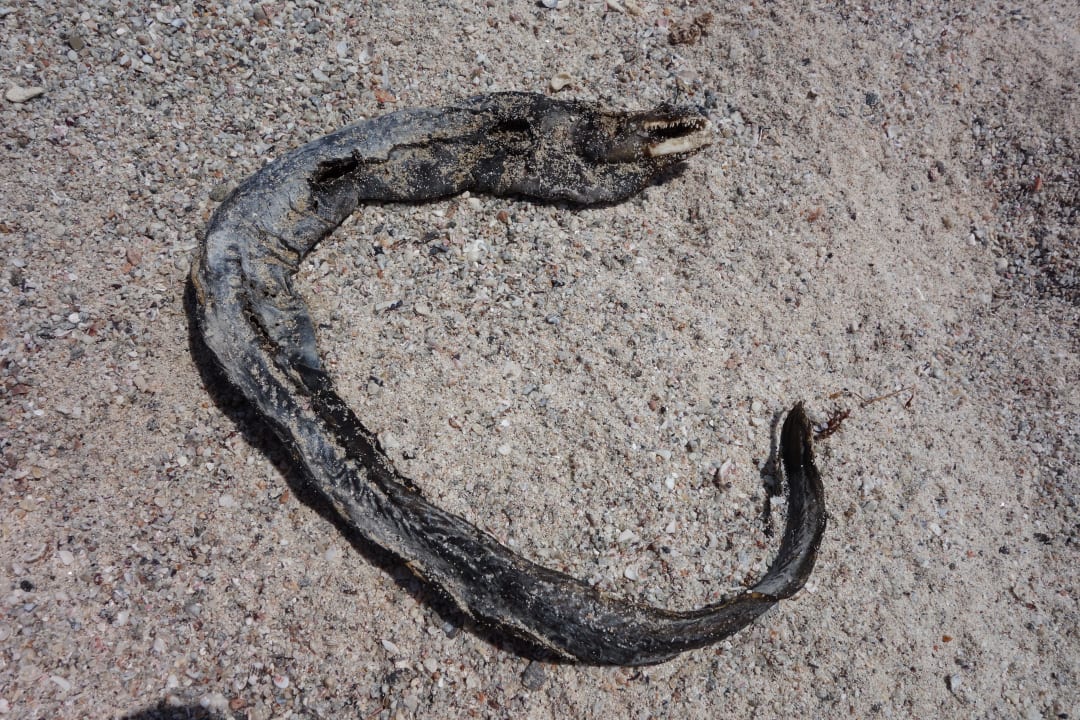 Am Strand Wyndham Garden Salalah Mirbat