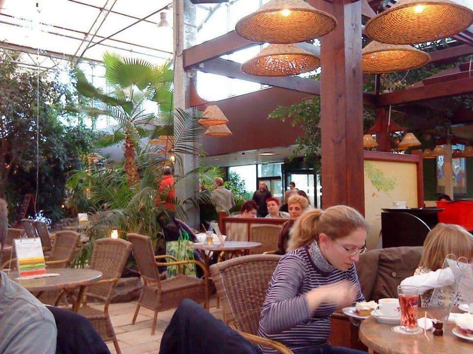 Park Plaza Ferienpark Landal De Lommerbergen