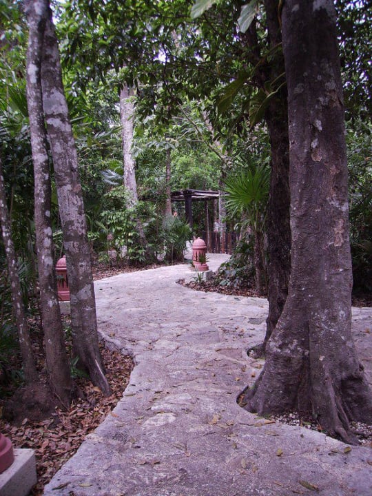 Hoteldschungelweg Iberostar Waves Tucan