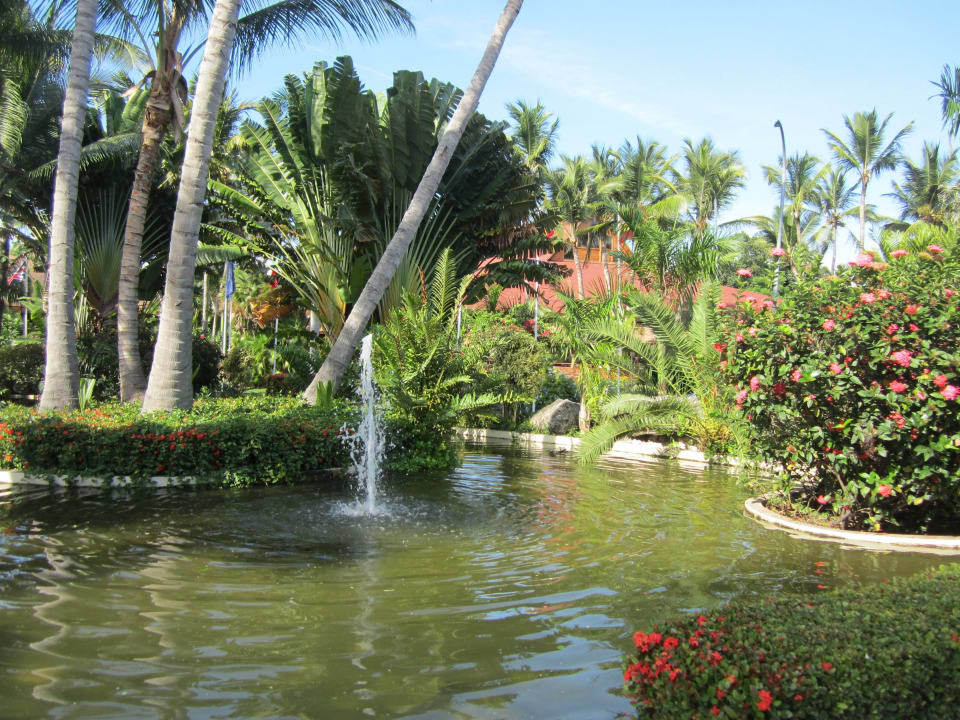 Teich am Eingang Grand Palladium Select Bávaro Resort & Spa