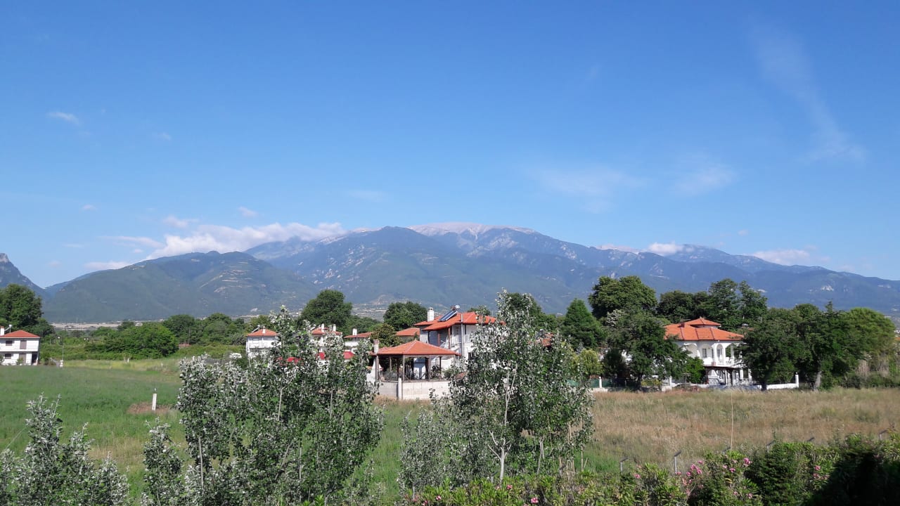 Ausblick alltoura Club Hotel Poseidon Palace