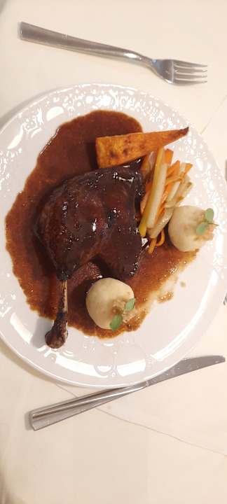 Gastro SPA Hotel Erzherzog Johann