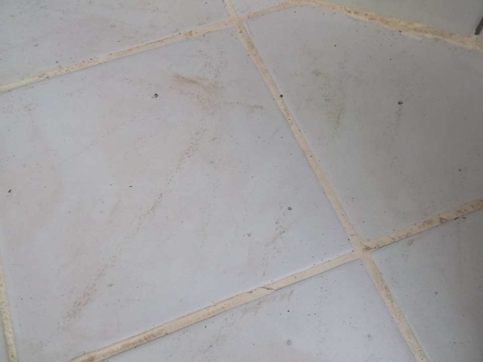 Schmutz Aydinbey Gold Dreams