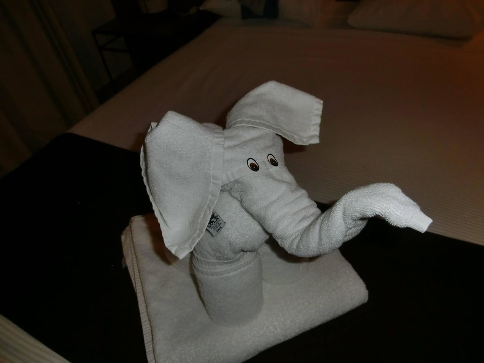 AUfmerksamkeit vom Zimmerservice Tukan Hotel Playa del Carmen