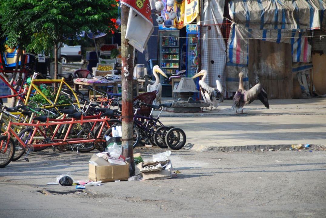 Gegenüber vom Hoteleingang Hotel Cote d'Azur de Cham Resort