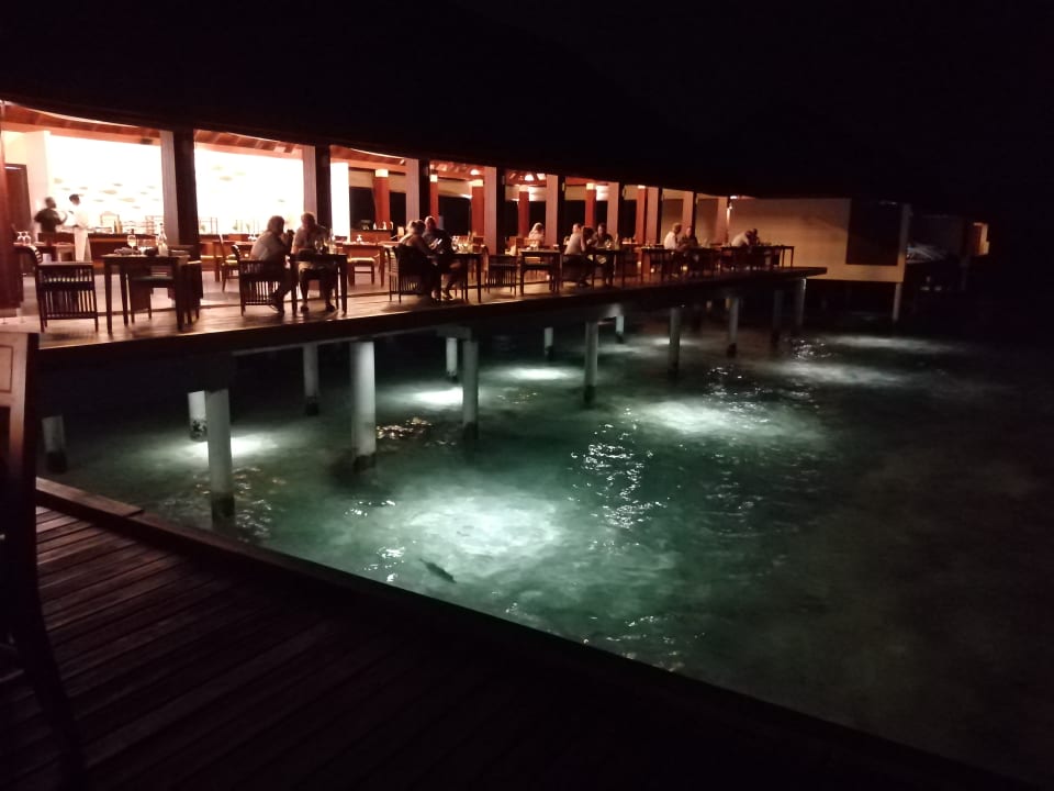 Außenansicht Summer Island Maldives