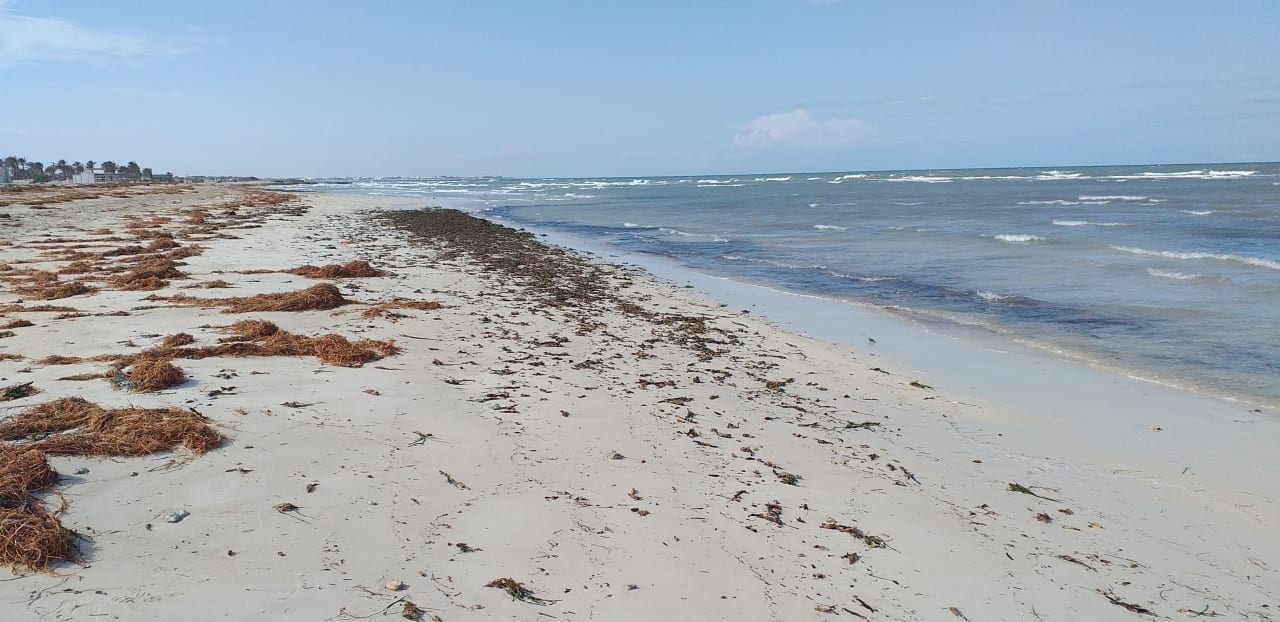 Strand Calimera Yati Beach
