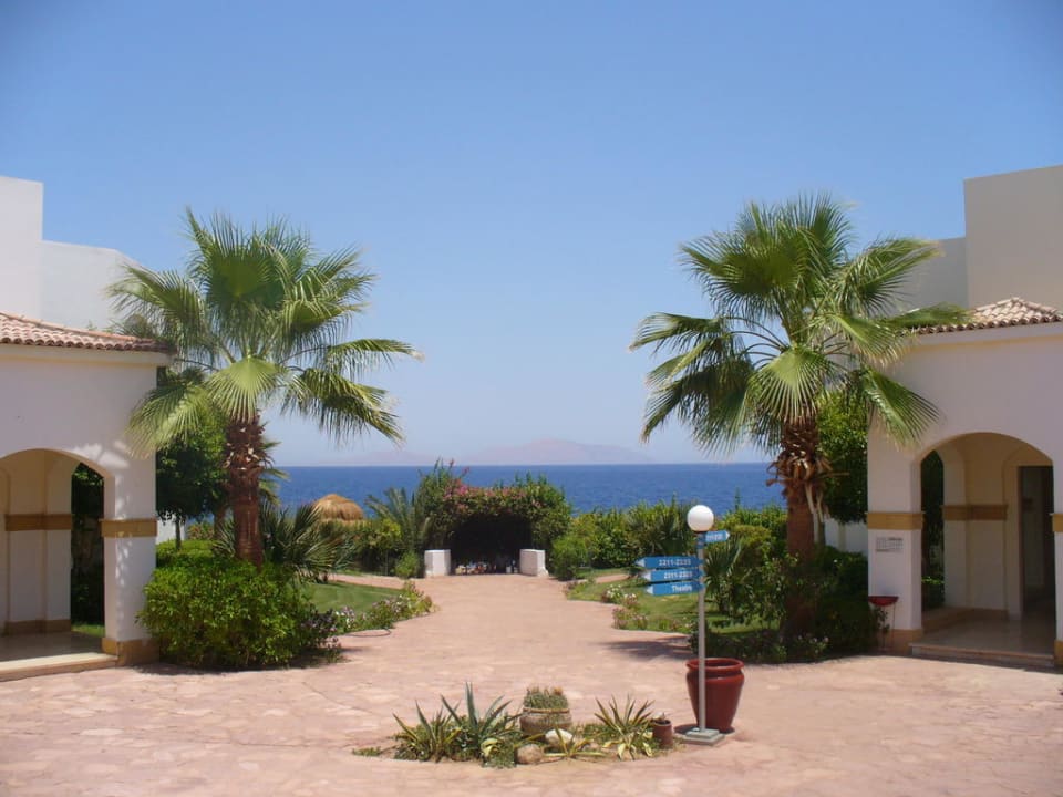 Wyglad zewnetrzny hotelu Amphoras Blu