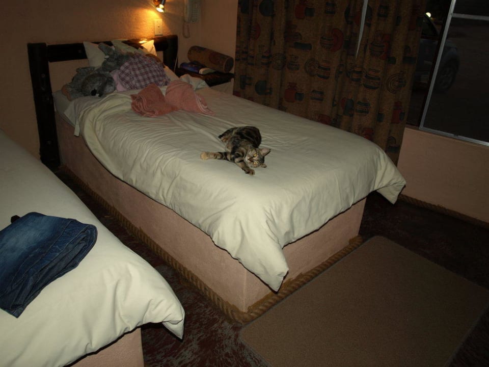 Bett mit Hauskatze Hotel iGowati Lodge