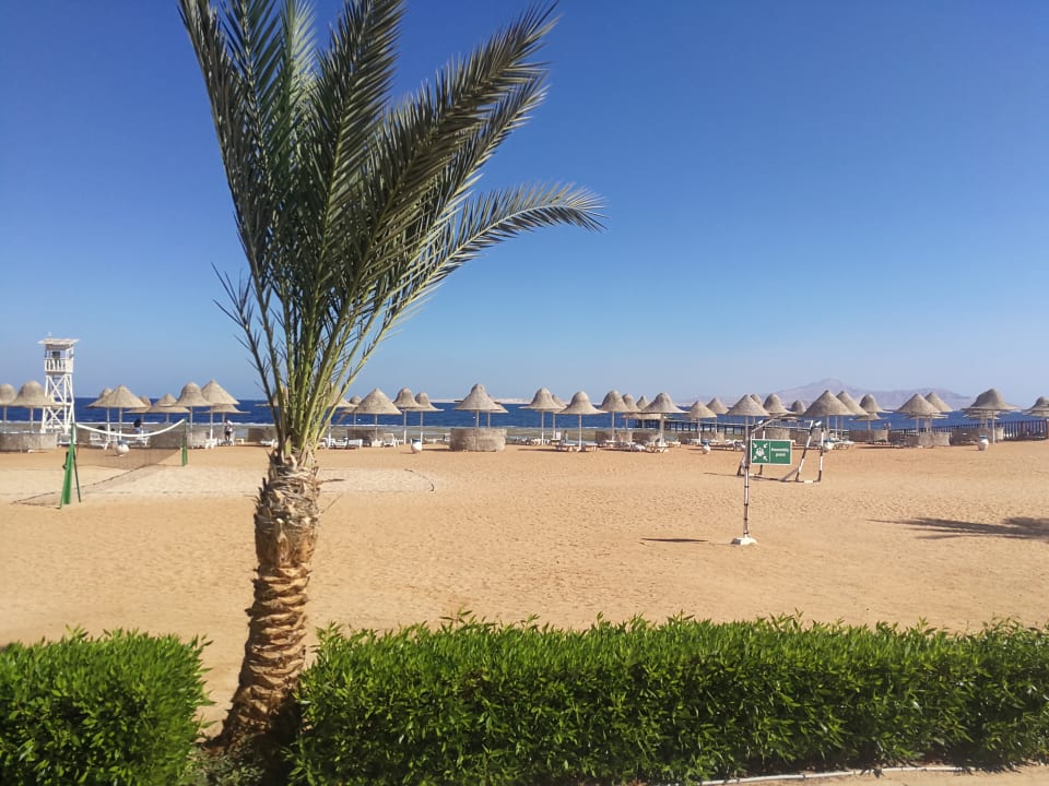 Strand Parrotel Beach Resort