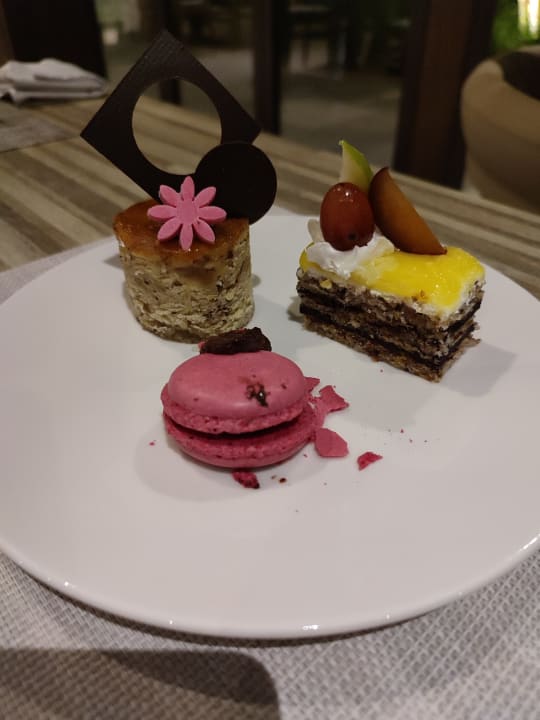 Gastro JAZ Elite Casa del Mar Beach