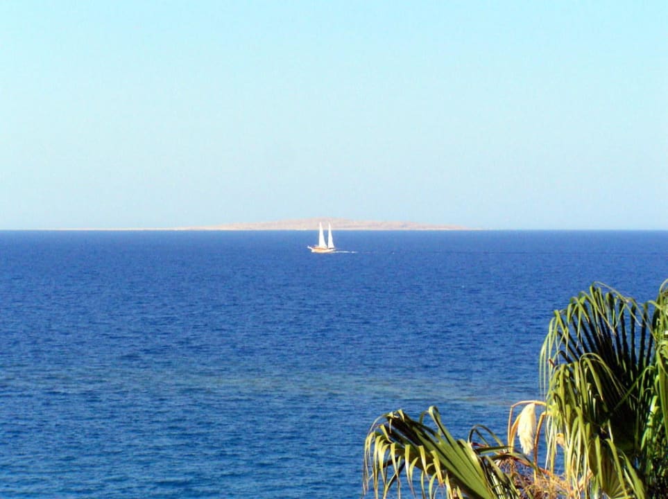 Вид с балкона №6116 Pickalbatros Citadel Resort