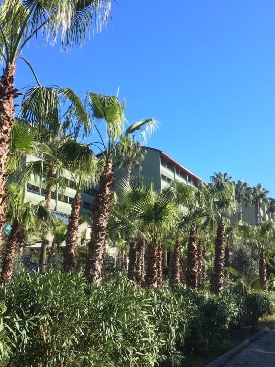 Gartenanlage Seaden Corolla Hotel