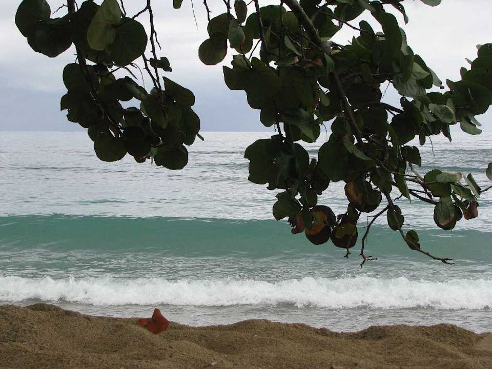 Strand Playabachata Hotel