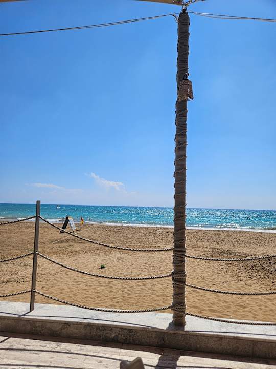 Strand Seashell Vega