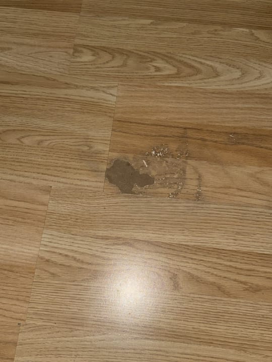 Zimmer Tropical Nights 3