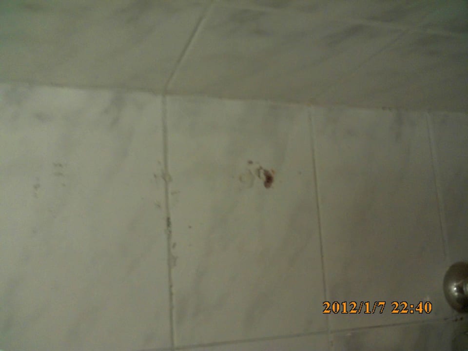 Verschmutzte Dusche Desert Rose