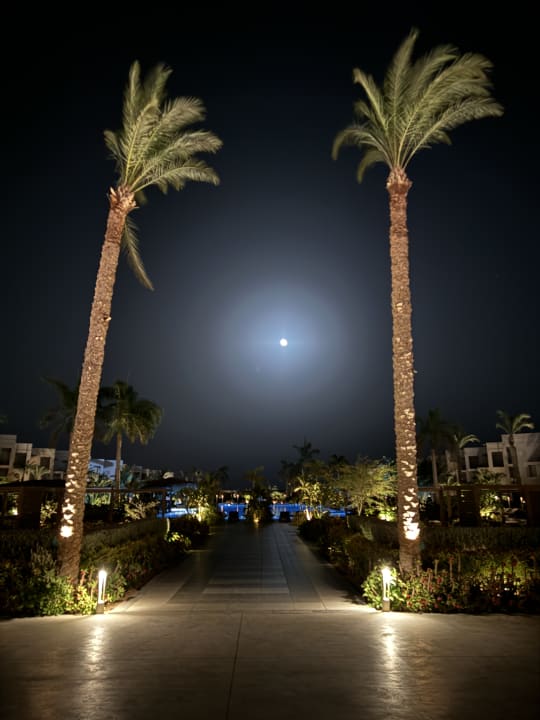 Gartenanlage Steigenberger Resort Ras Soma