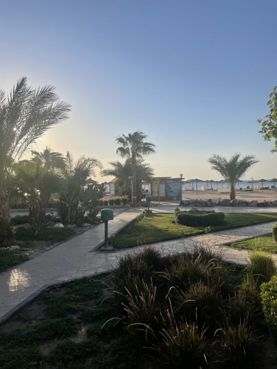 Gartenanlage Shams Safaga Resort