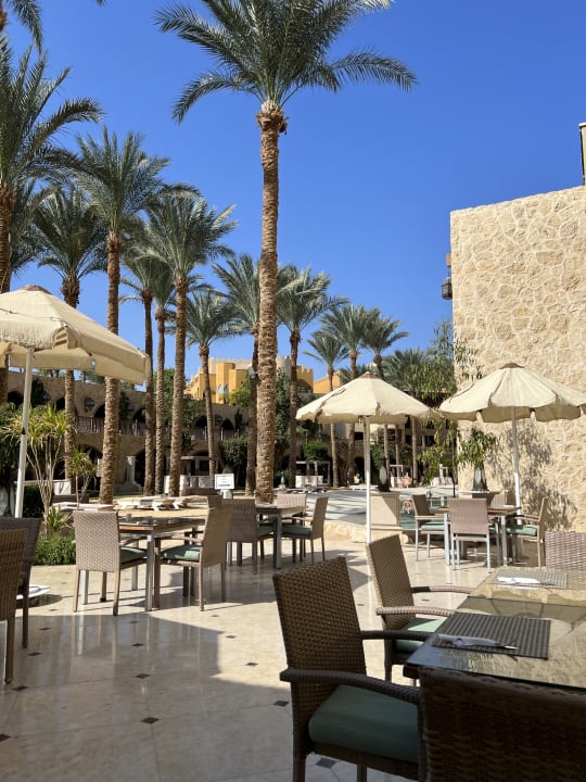 Gastro Makadi Spa - Adults only