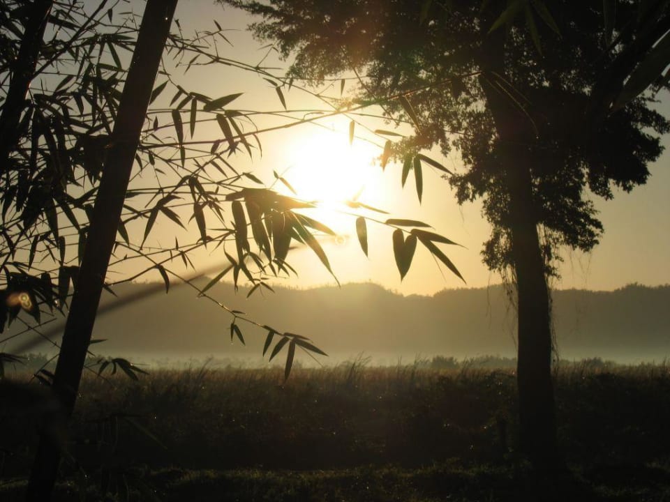 Sonnenaufgang "Sunset at the Palms" Sunset at the Palms Resort - Adults Only