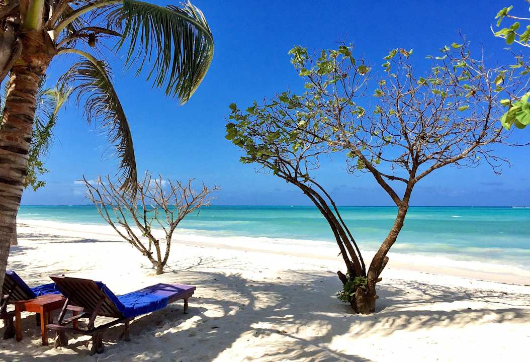Tolle Aussicht von den Liegen  Neptune Pwani Beach Resort & Spa