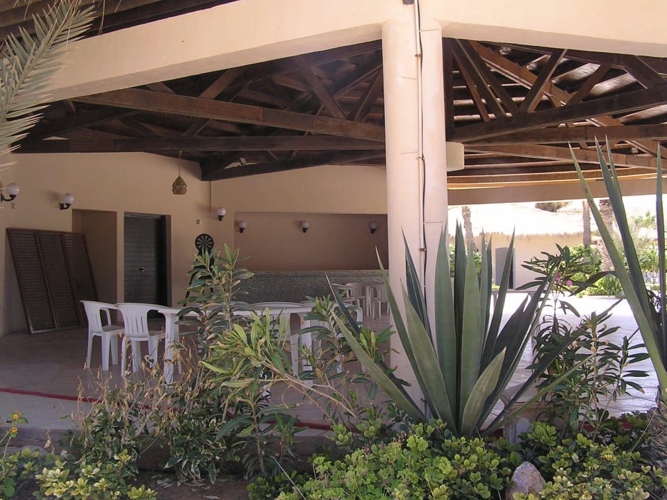 Poolbar, leider alle geschlossen Zita Beach Resort