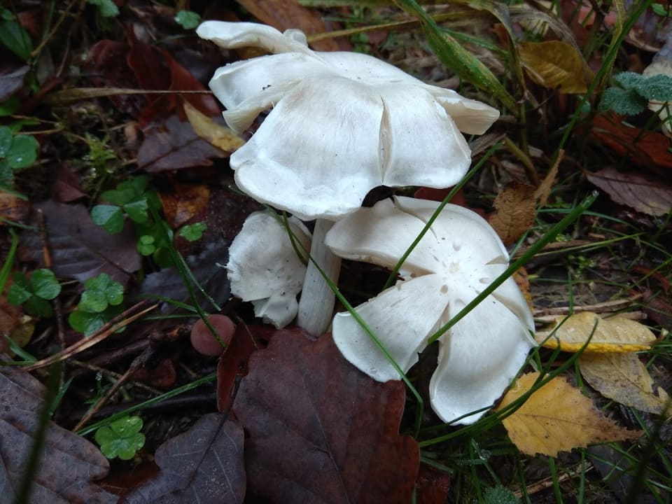 Sonstiges Landhotel Untere Kapfenhardter Mühle
