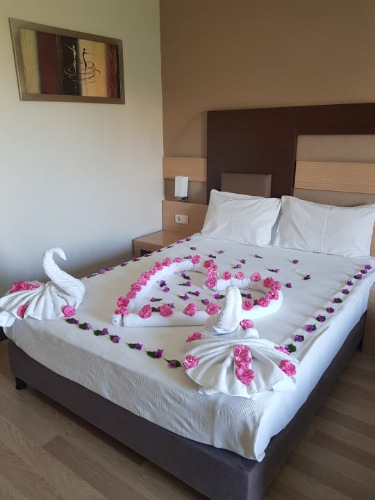 Zimmer Telatiye Resort