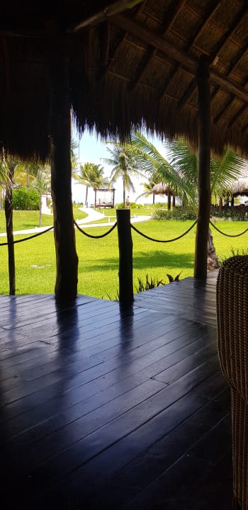 Gartenanlage Akumal Bay Beach & Wellness Resort