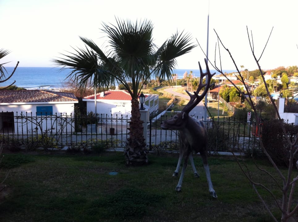 Blick Richtung Promenade und Strand Alba Queen Hotel