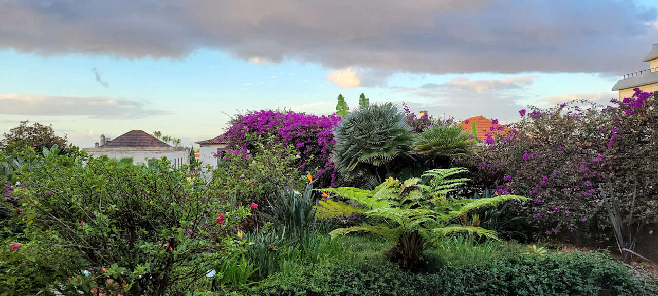 Gartenanlage Hotel Albergaria Dias
